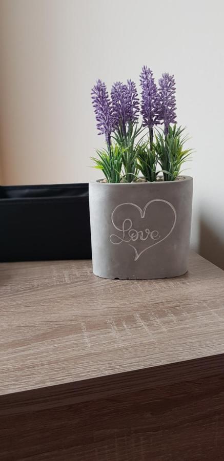 Boglarka Apartman Hajdúszoboszló Buitenkant foto